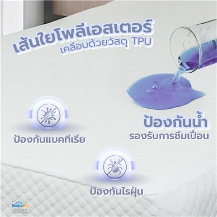 ผ้ารองกันเปื้อนเคลือบกันน้ำ TWIN SIZE HOME LIVING STYLE LUNAR สีขาว_6