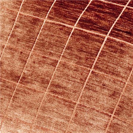 หมอนอิง BENETTA PRESSO 18X18 นิ้ว สีส้ม_4