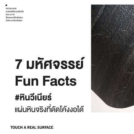 แผ่นตกแต่งผนัง STONE DECOR คาราร่า ไวท์ ซัทวาริโอ 61x122 ซม._5