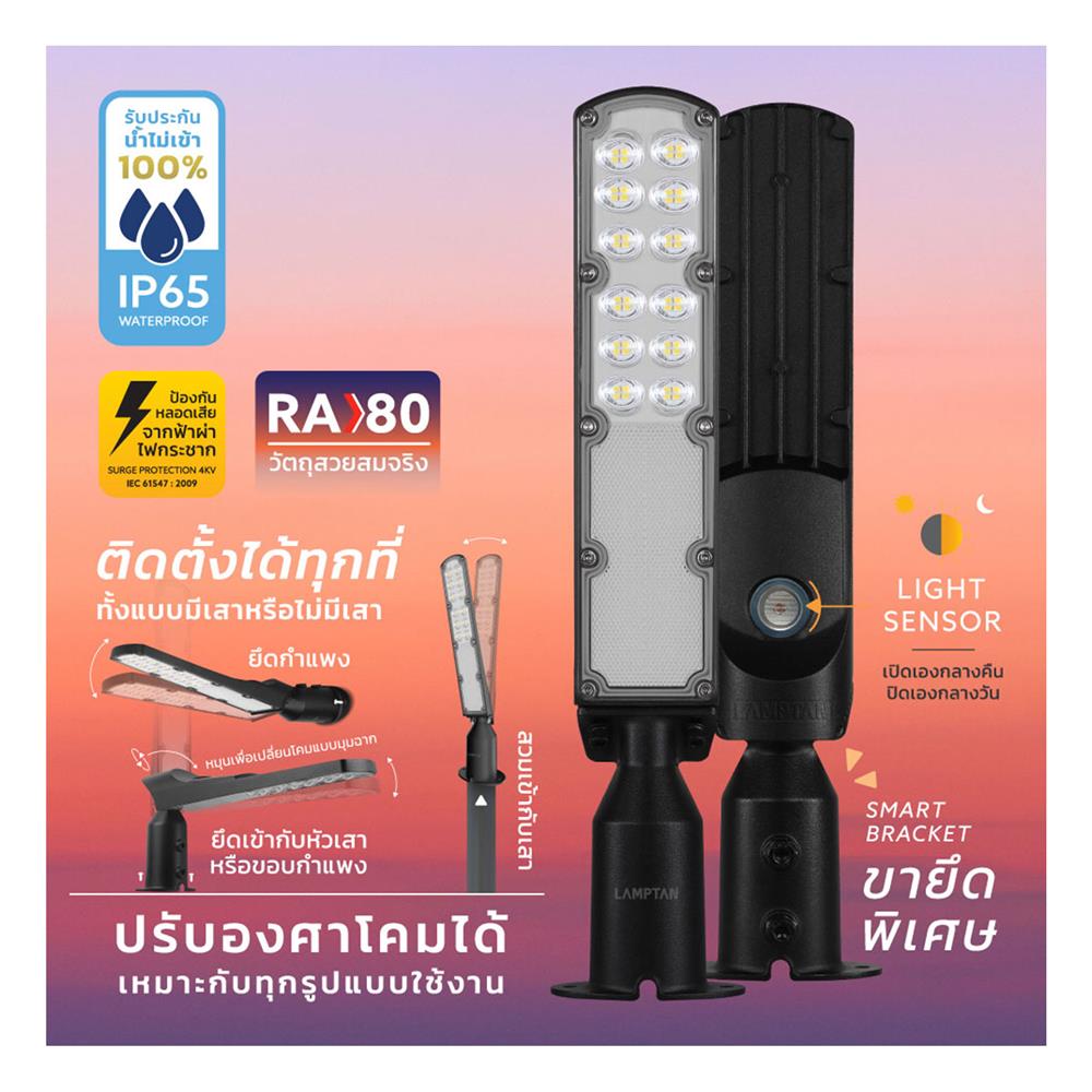 ไฟถนน LED LAMPTAN SKYLINE 50 วัตต์ DAYLIGHT สีดำ