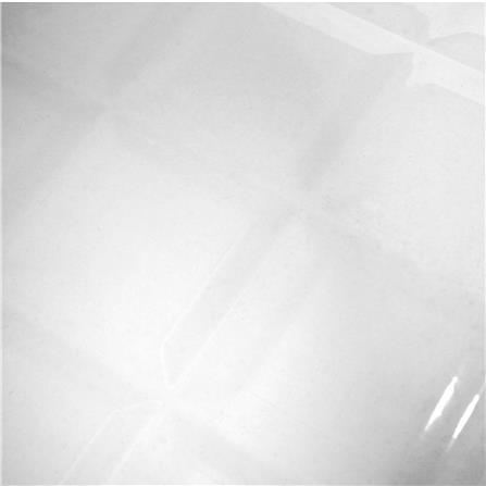 กระเบื้องผนัง 30x45 ซม. TARA เร็น นิว ไวท์ 0.81 ตร.ม._1