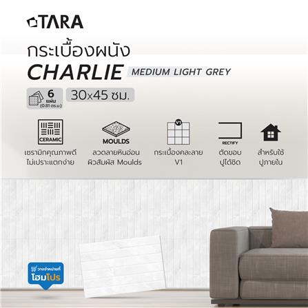 กระเบื้องผนัง 30x45 ซม. TARA ซาริฟ กลาง เทาอ่อน 0.81 ตร.ม._7