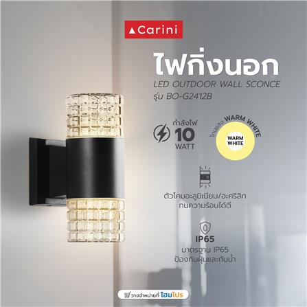 ไฟกิ่งภายนอก LED CARINI BO-G2412B 10 วัตต์ WARM WHITE สีดำ_4