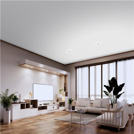 สีน้ำทาฝ้า ชนิดด้าน BEGER BEN-TONE PLUS BT-333 สี WHITE CEILING 5 แกลลอน_3