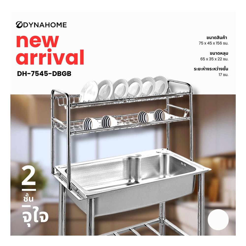 ซิงค์ขาตั้ง 1 หลุม DYNA HOME DH-7545-DBGB 2S สีเงิน