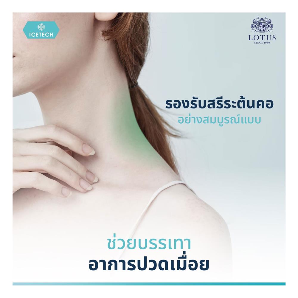 หมอนสุขภาพ ยางพารา LOTUS ICETECH 13.5x22 นิ้ว สีขาว