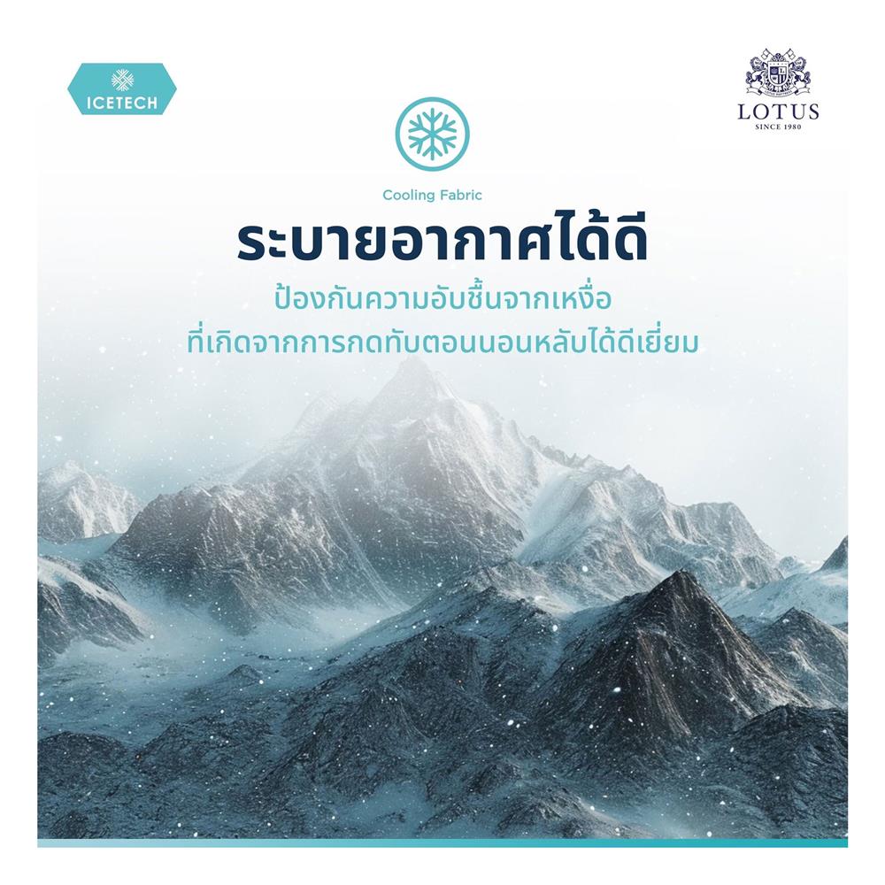 หมอนสุขภาพ ยางพารา LOTUS ICETECH 13.5x22 นิ้ว สีขาว