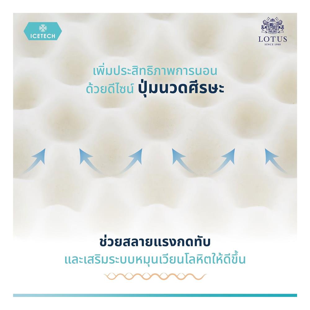 หมอนสุขภาพ ยางพารา LOTUS ICETECH 13.5x22 นิ้ว สีขาว