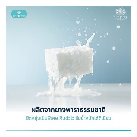 หมอนสุขภาพ ยางพารา LOTUS ICETECH 13.5x22 นิ้ว สีขาว_16