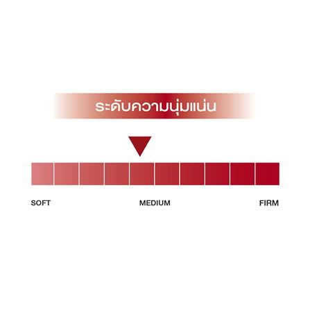 ที่นอน 5 ฟุต SLUMBERLAND IMPERIAL MARCH_7