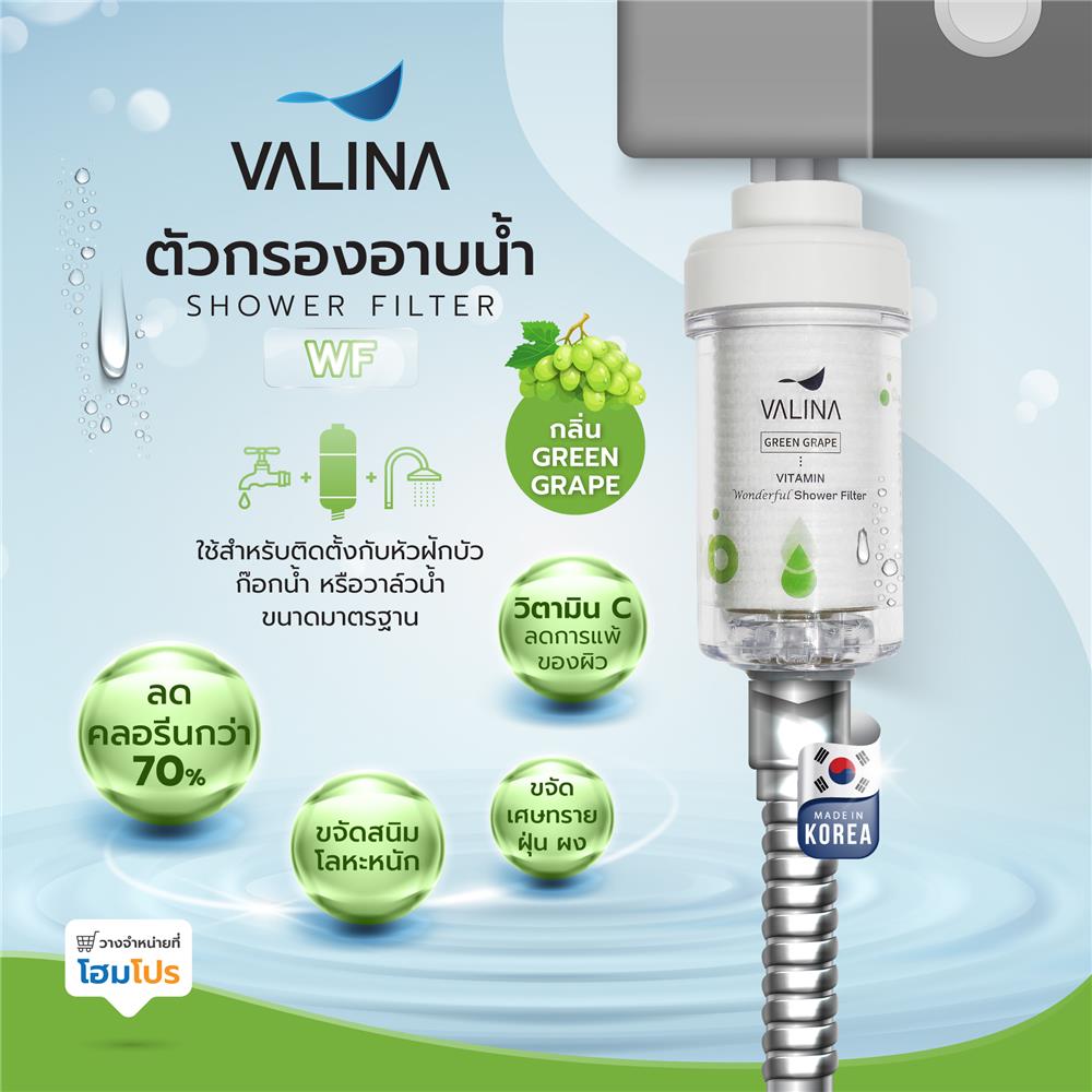 ตัวกรองอาบน้ำ VALINA WF กลิ่น GREEN GRAPE