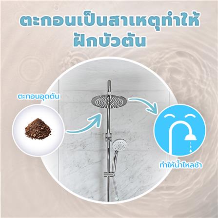 ตัวกรองอาบน้ำ VALINA WF กลิ่น GREEN GRAPE_9