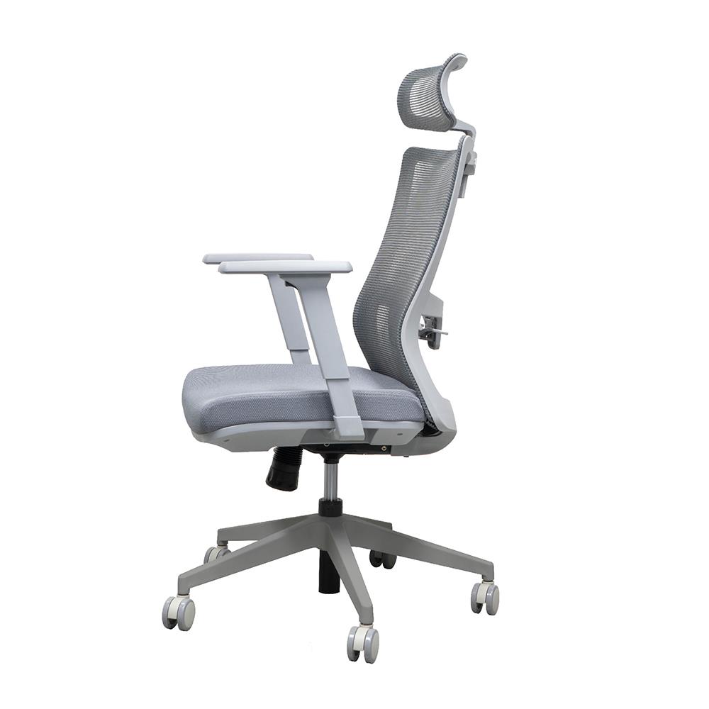 เก้าอี้สุขภาพ WORKSCAPE MALIN WCH-00061 สีเทา