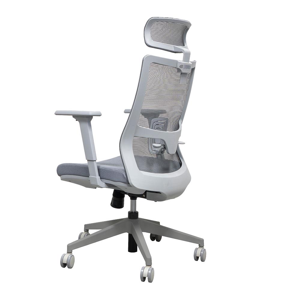 เก้าอี้สุขภาพ WORKSCAPE MALIN WCH-00061 สีเทา