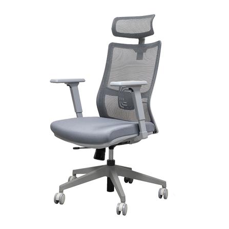 เก้าอี้สุขภาพ WORKSCAPE MALIN WCH-00061 สีเทา_0