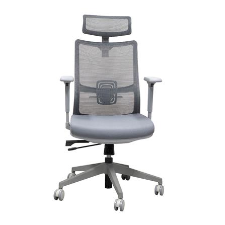 เก้าอี้สุขภาพ WORKSCAPE MALIN WCH-00061 สีเทา_1