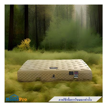 ที่นอน 3.5 ฟุต DUNLOPILLO BIBURY (พร้อมหมอนหนุน 1 ชิ้น)_3