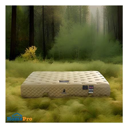 ที่นอน 5 ฟุต DUNLOPILLO BIBURY (พร้อมหมอนหนุน 2 ชิ้น)_3