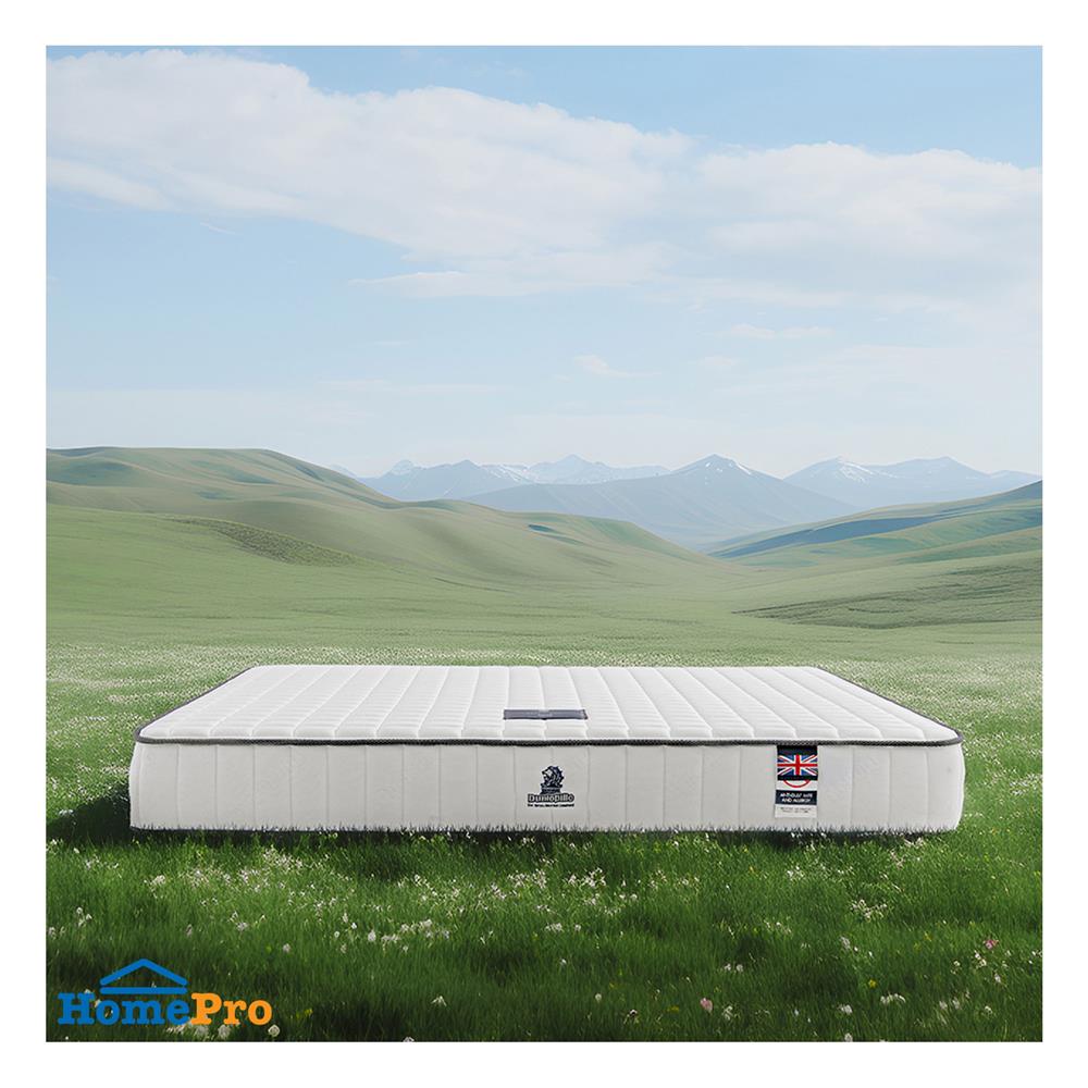 ที่นอน 5 ฟุต DUNLOPILLO MILADA