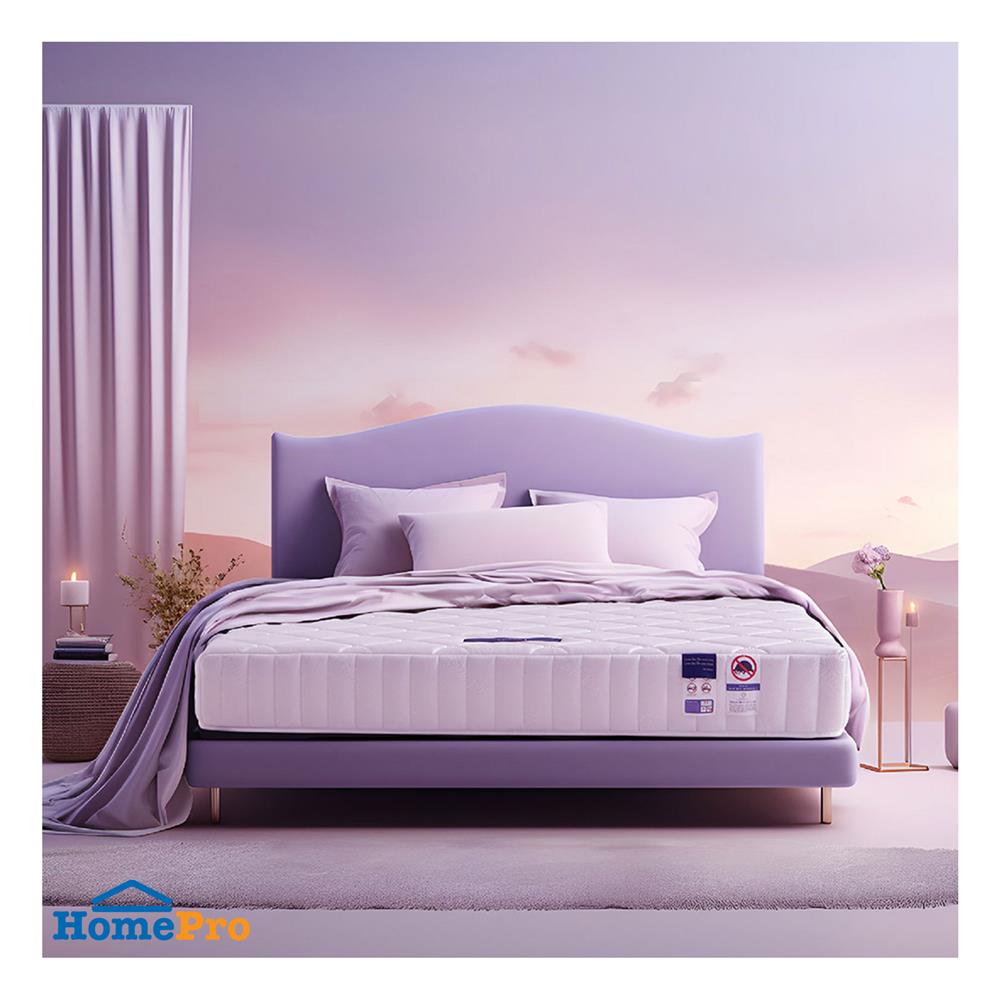 ที่นอน 6 ฟุต MIDAS MAISIE I พร้อมหมอนหนุน 2 ชิ้น