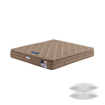 ที่นอน 6 ฟุต MIDAS MINA I พร้อมหมอนหนุน 2 ชิ้น_0