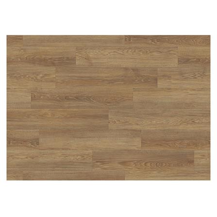 cate-แผ่นรองนั่งอเนกประสงค์