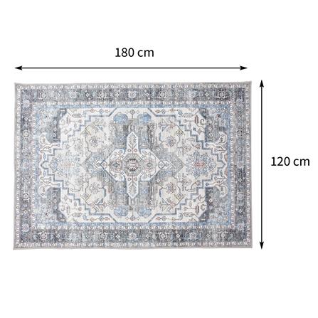 พรม HOME LIVING STYLE VIOLET 120X180 ซม. สีฟ้า_8