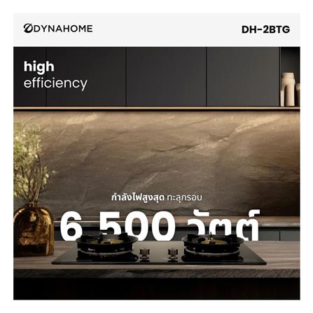 เตาฝังแก๊ส DYNA HOME DH-2BTG 74 ซม._4