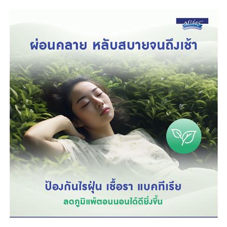 ที่นอน 3.5 ฟุต MIDAS ZANE I พร้อมหมอนหนุน 1 ชิ้น_10