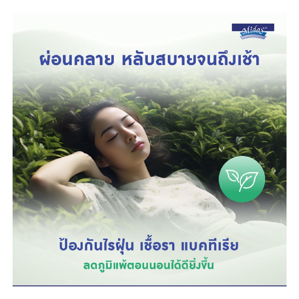 ที่นอน 5 ฟุต MIDAS ZANE I พร้อมหมอนหนุน 2 ชิ้น