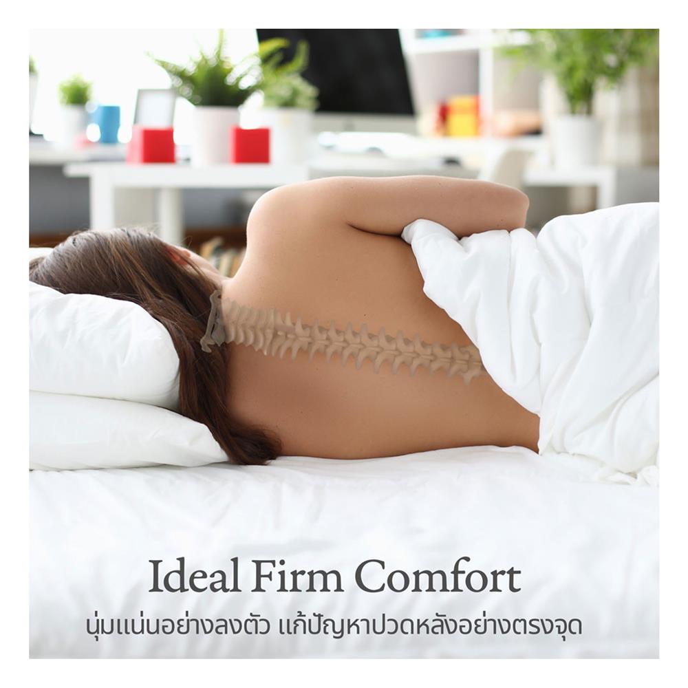 ที่นอน 3.5 ฟุต LOTUS MARSHALL DELUXE III พร้อมชุดเครื่องนอน 7 ชิ้น