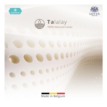 ที่นอน 6 ฟุต LOTUS ARCTIC ZEN พร้อมเครื่องนอน 11 ชิ้น_15