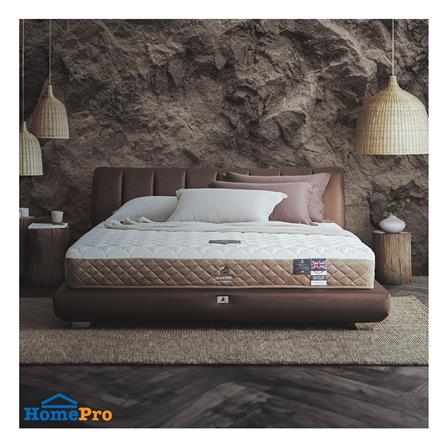 ที่นอน 5 ฟุต DUNLOPILLO WISDOM PRO พร้อมหมอนหนุน 2 ชิ้น_3