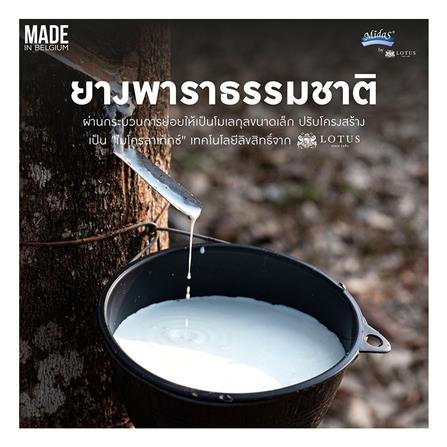 แผ่นรองนอน 3.5 ฟุต MIDAS NATURSOFT_10