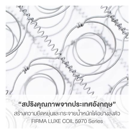 ที่นอน 6 ฟุต DUNLOPILLO ONTARIO พร้อมหมอนหนุน 2 ชิ้น_4