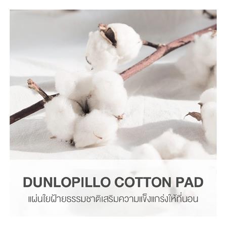 ที่นอน 6 ฟุต DUNLOPILLO ONTARIO พร้อมหมอนหนุน 2 ชิ้น_6