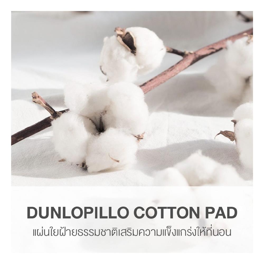 ที่นอน 5 ฟุต DUNLOPILLO ONTARIO พร้อมหมอนหนุน 2 ชิ้น