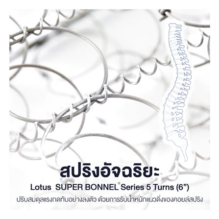 ที่นอน 6 ฟุต LOTUS EVAN พร้อมหมอนหนุน 2 ชิ้น_7