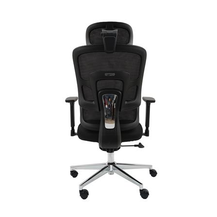 เก้าอี้สุขภาพ MODENA ERGO CURVE PRO NET สีดำ_2