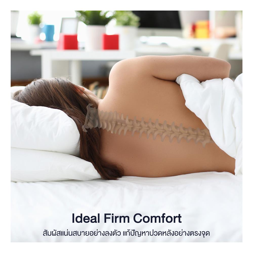 ที่นอน 5 ฟุต LOTUS EVAN พร้อมหมอนหนุน 2 ชิ้น