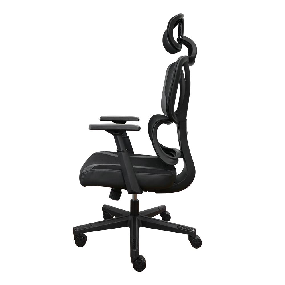 เก้าอี้สุขภาพ SURE HOKKU PL-41GM สีดำ