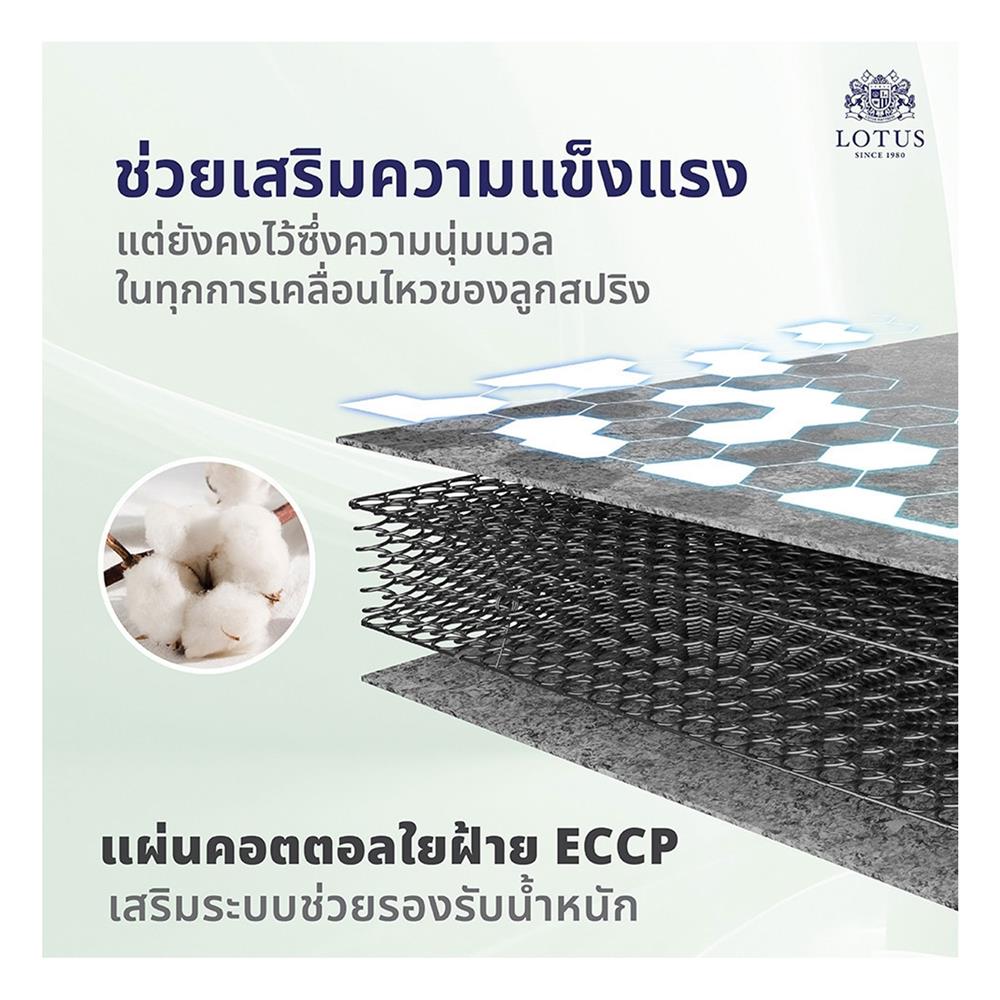 ที่นอน 5 ฟุต LOTUS RENOA I พร้อมหมอนหนุน 2 ชิ้น