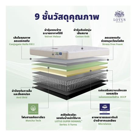 ที่นอน 5 ฟุต LOTUS RENOA I พร้อมหมอนหนุน 2 ชิ้น_4