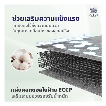 ที่นอน 5 ฟุต LOTUS RENOA I พร้อมหมอนหนุน 2 ชิ้น_6