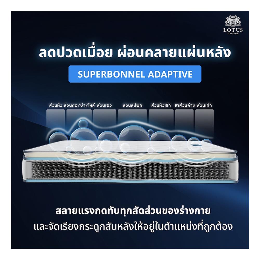 ที่นอน 5 ฟุต LOTUS PREMIUM (พร้อมหมอนหนุน 2 ชิ้น)