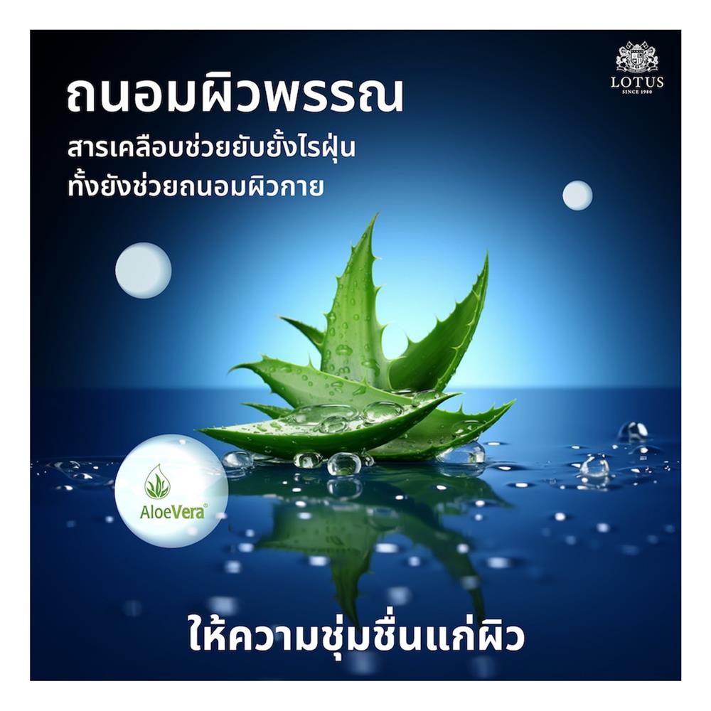 ที่นอน 5 ฟุต LOTUS PREMIUM (พร้อมหมอนหนุน 2 ชิ้น)