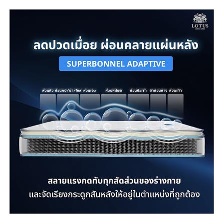 ที่นอน 5 ฟุต LOTUS PREMIUM (พร้อมหมอนหนุน 2 ชิ้น)_9
