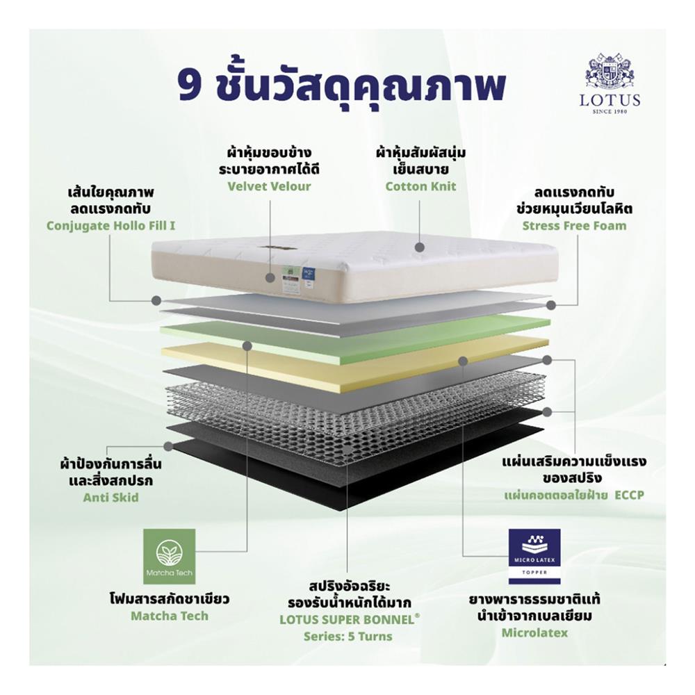 ที่นอน 6 ฟุต LOTUS RENOA I พร้อมหมอนหนุน 2 ชิ้น