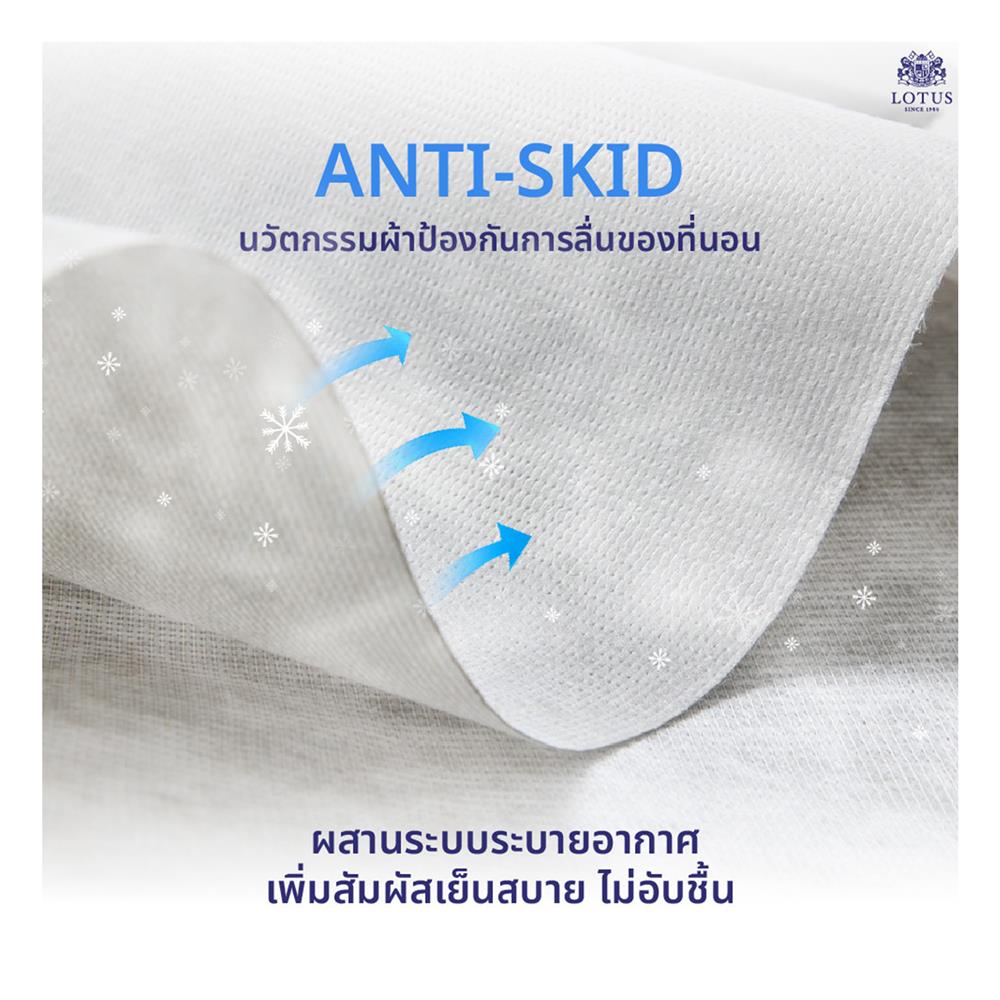 ที่นอน 6 ฟุต LOTUS PRECISE I พร้อมหมอนหนุน 2 ชิ้น