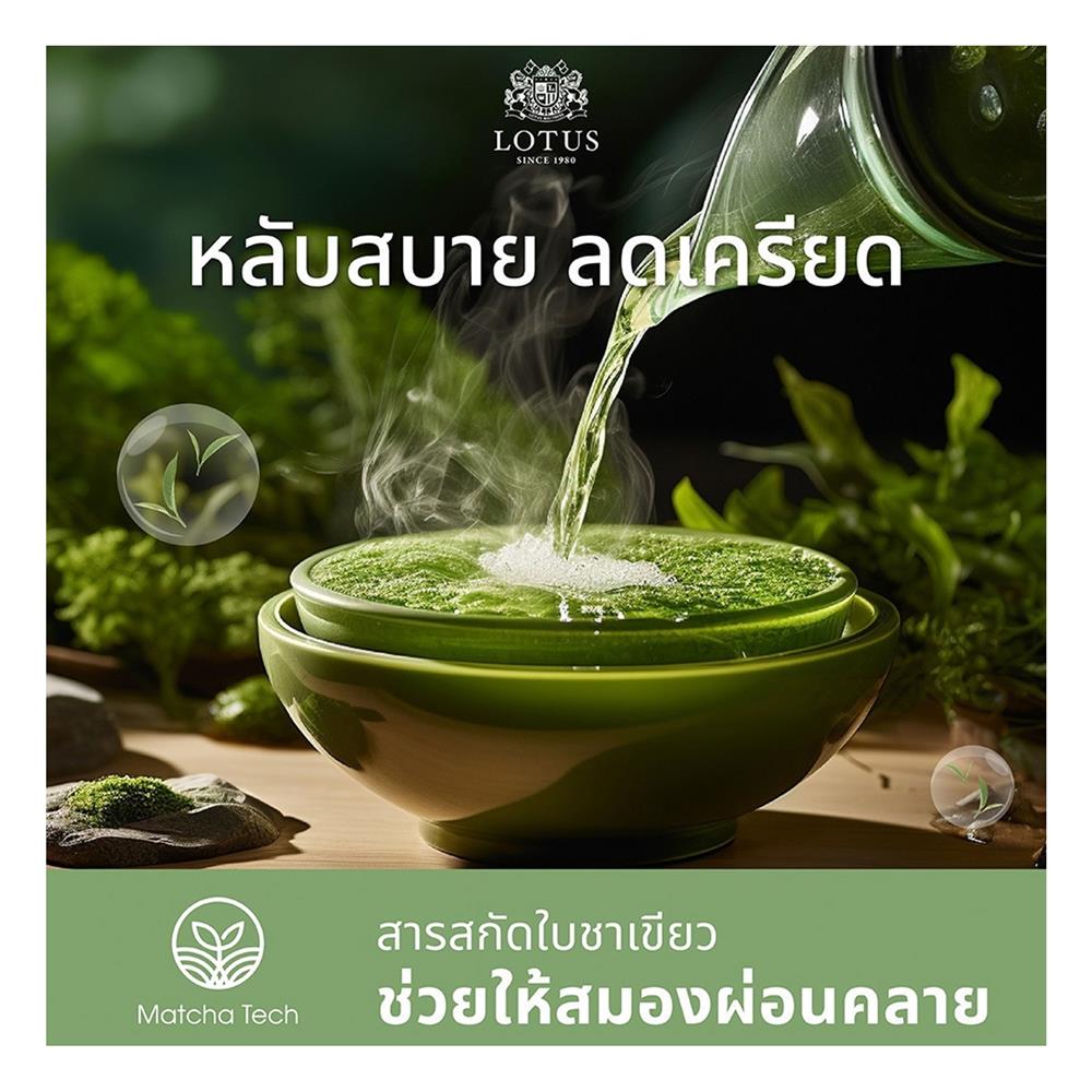 ที่นอน 3.5 ฟุต LOTUS RENOA I พร้อมหมอนหนุน 1 ชิ้น